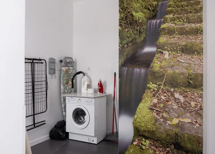 Ourmadeira - Grayci's House