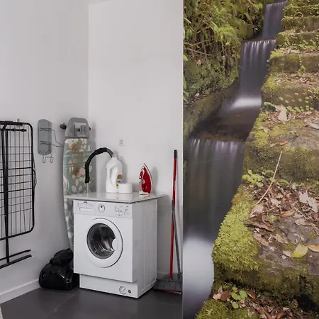 Ourmadeira - Grayci's House, Contemporary